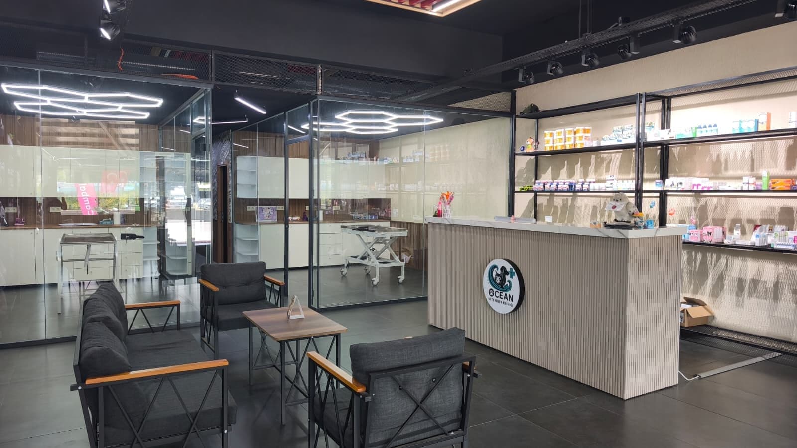 Ocean Veteriner Kliniği'nin gerçek karşılama ve bekleme alanı
