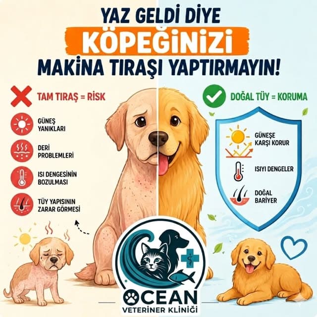 Yaz aylarında tüy tıraşı konusunda uyarı